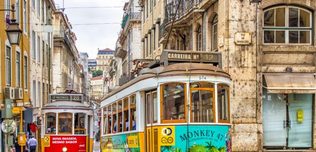 Lisbon: Saint George Castell, Alfama and Pink Street